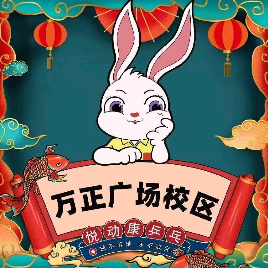 悦动康乒乓(万正广场店)
