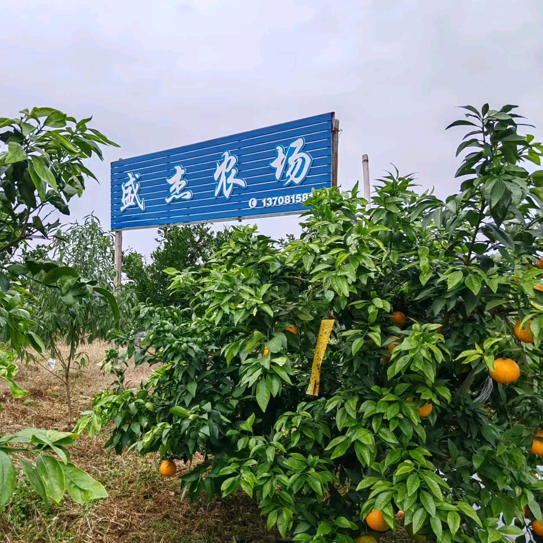 自贡仙市盛杰农场