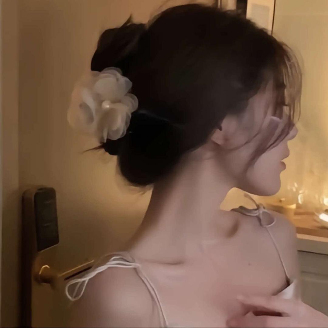 车行家朱珠