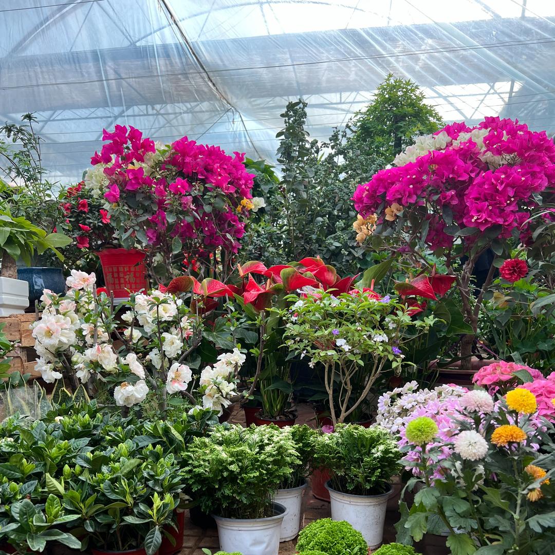 珪攴福万家直播2号