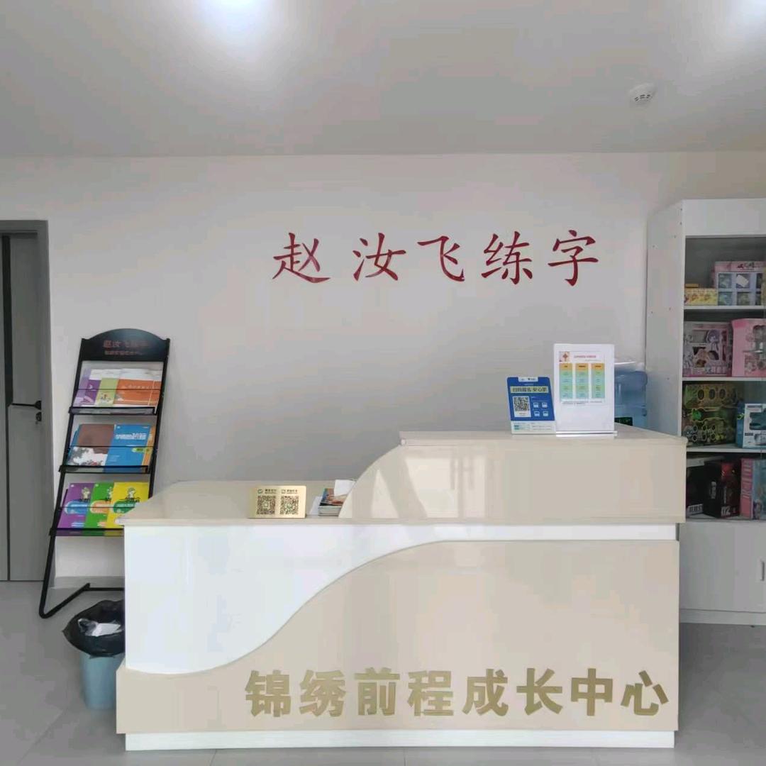 重庆 赵汝飞练字