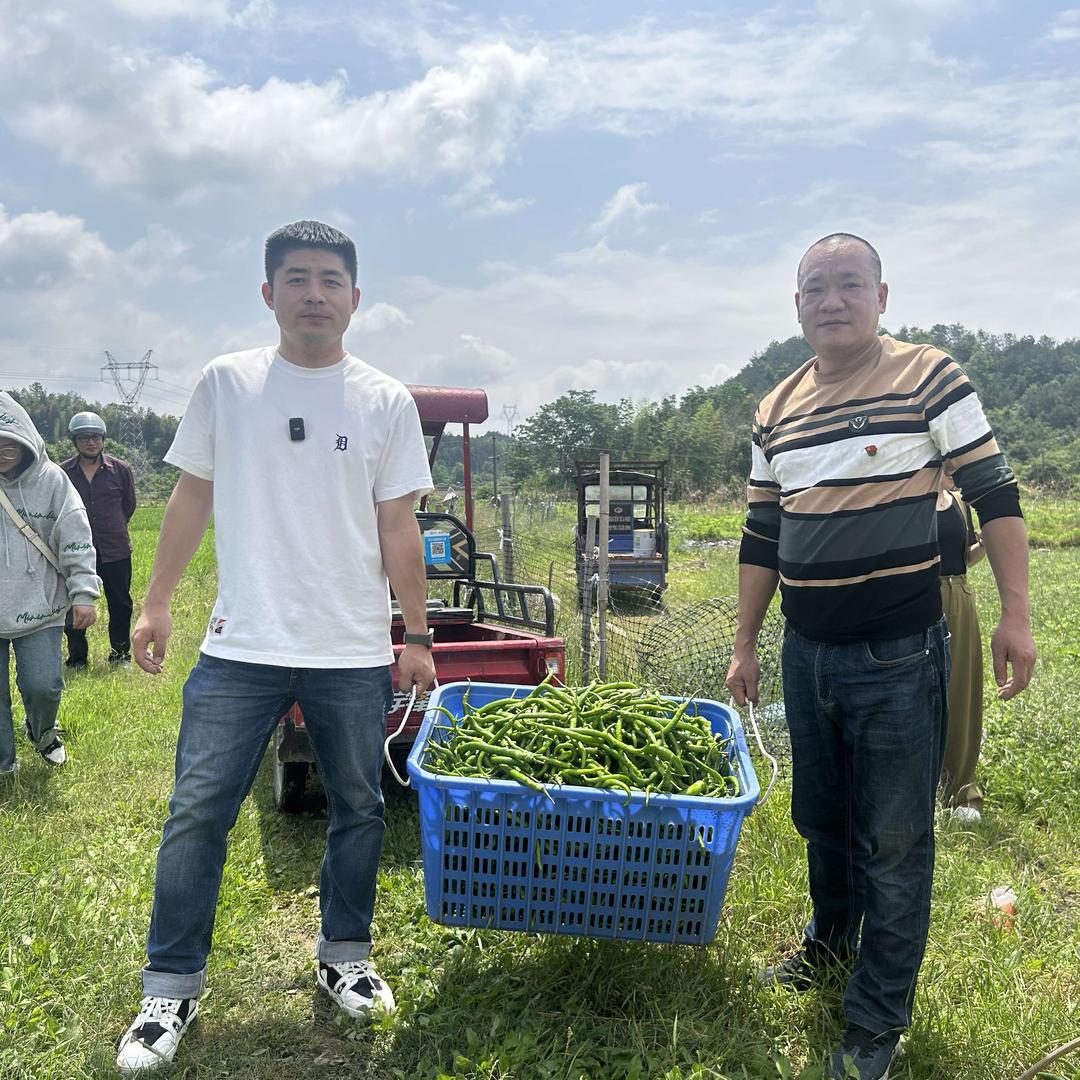 相聚枫叶红餐厅