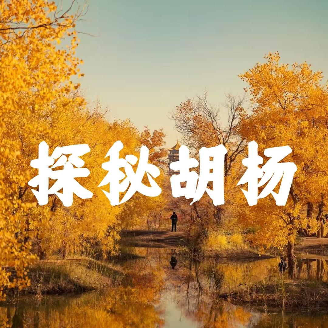 中国旅行（乾途旅游胡杨林专场）