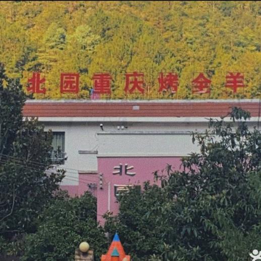 北园重庆烤全羊
