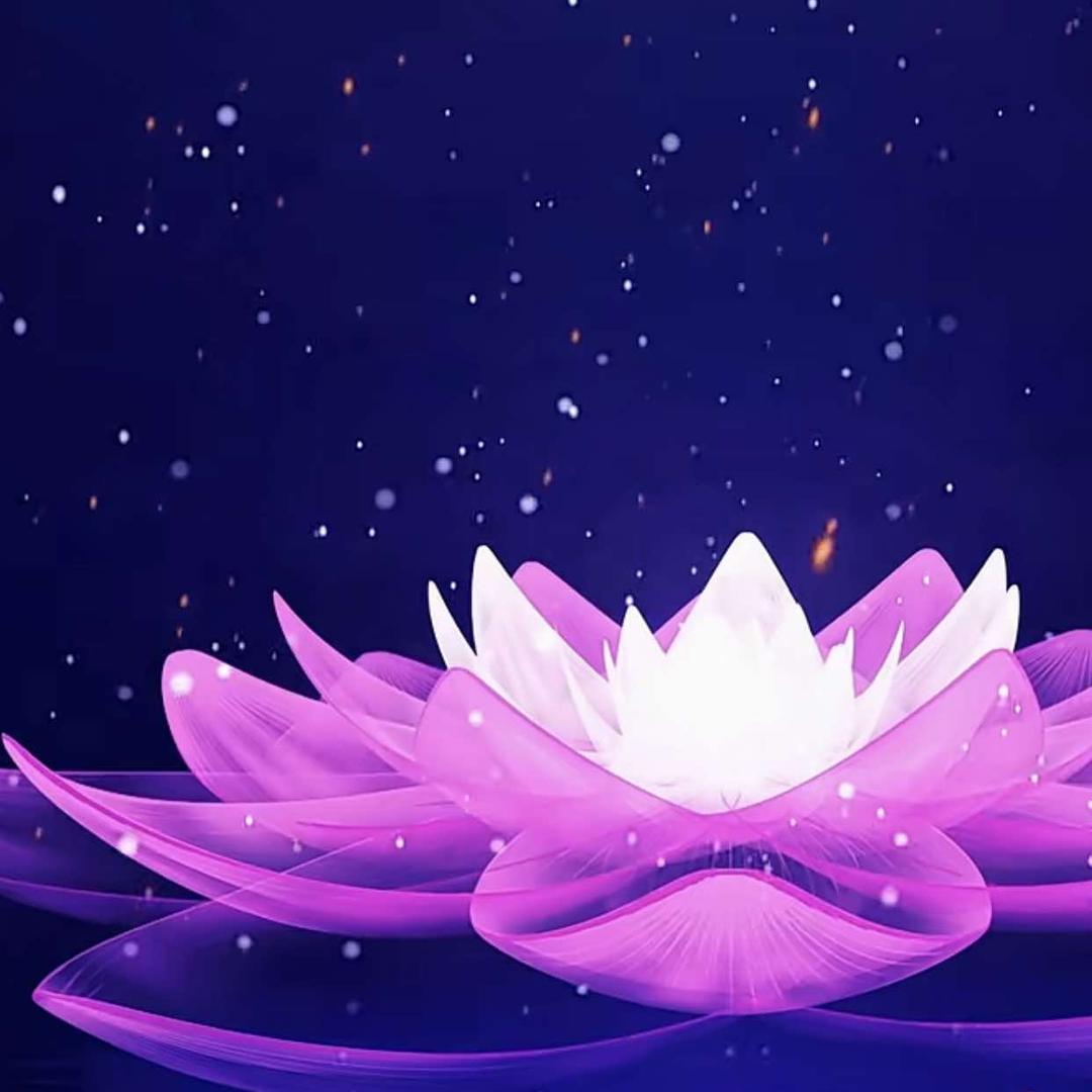 我啊一直都在看着你-东妍靓妈