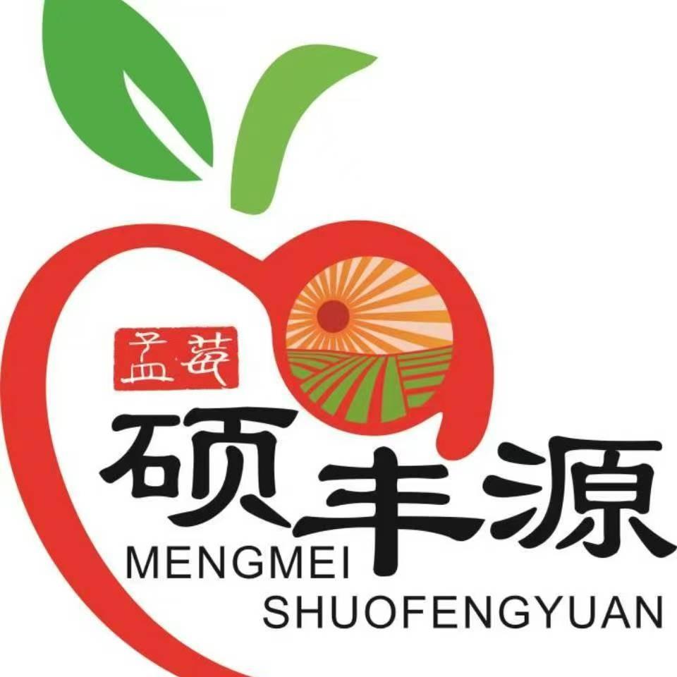 硕丰源农场【长丰草莓】
