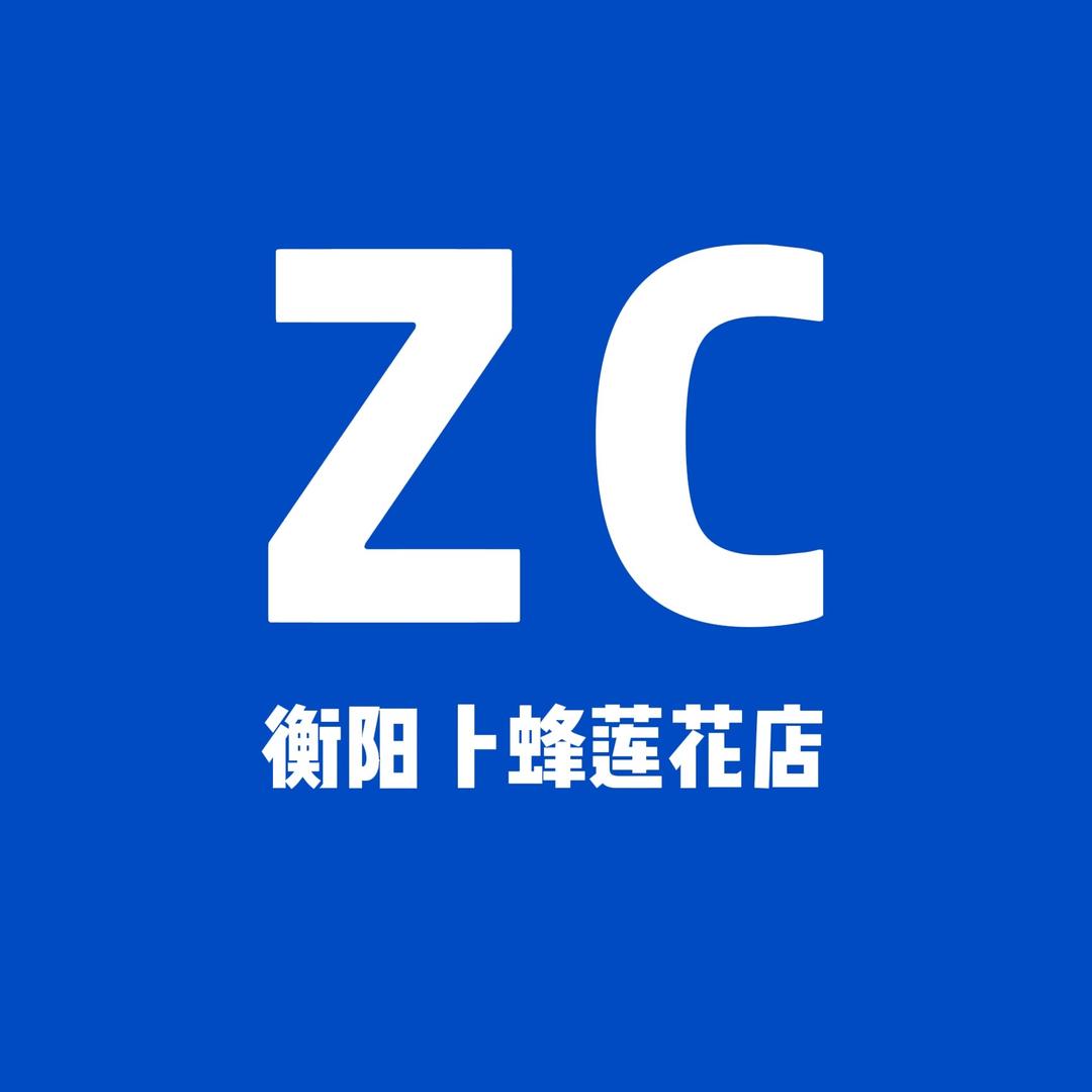ZC男装(衡阳卜蜂莲花店）专用号