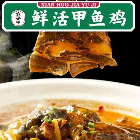 么子甲·鲜活甲鱼鸡