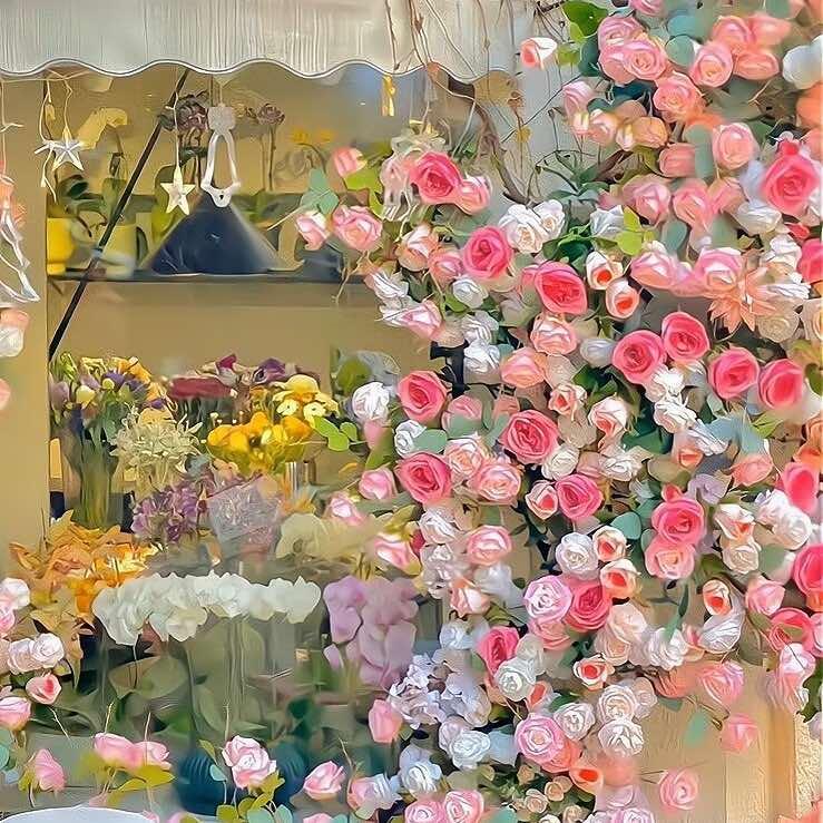 一米观澜美域花卉