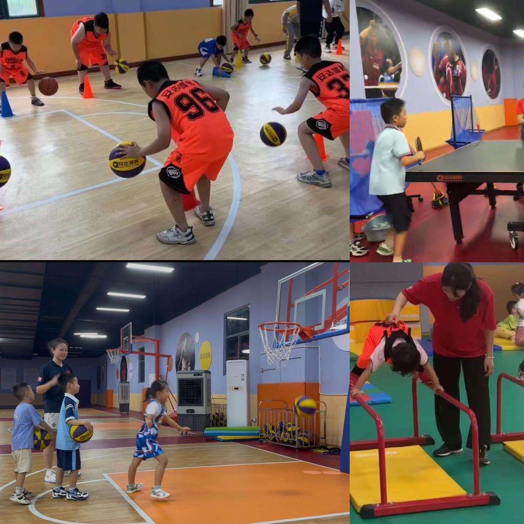 安达体育(金鹏馆)宠粉号