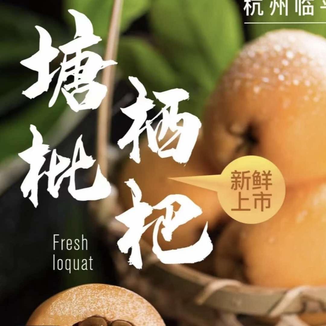 塘栖特产白沙枇杷