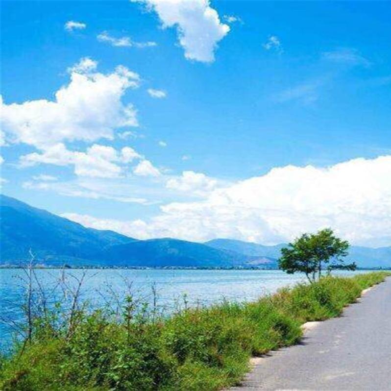 噢噢呀直播号