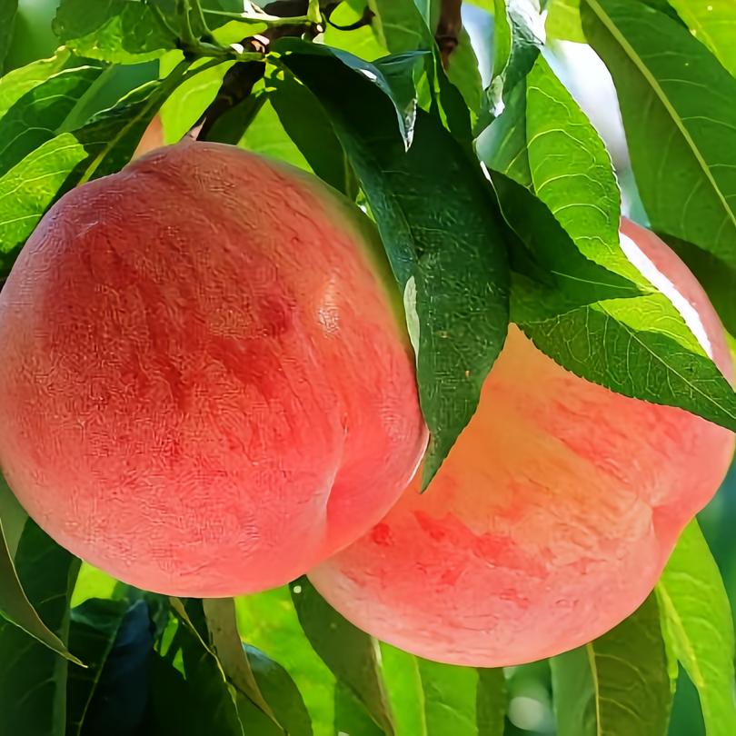 优亲孕婴童生活馆