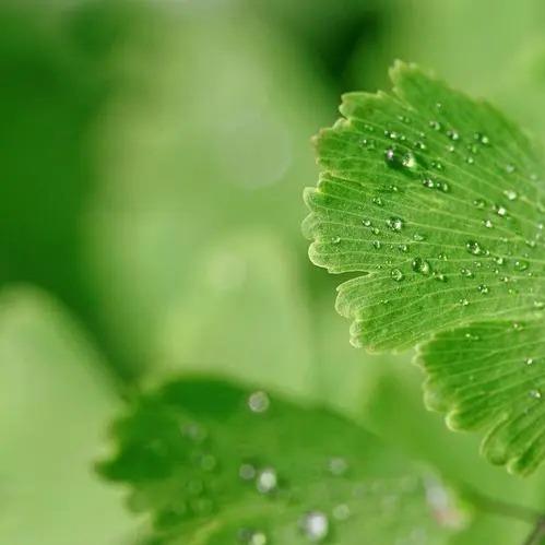 惠天百货民乐店(民乐立交店)的是的多1直播号