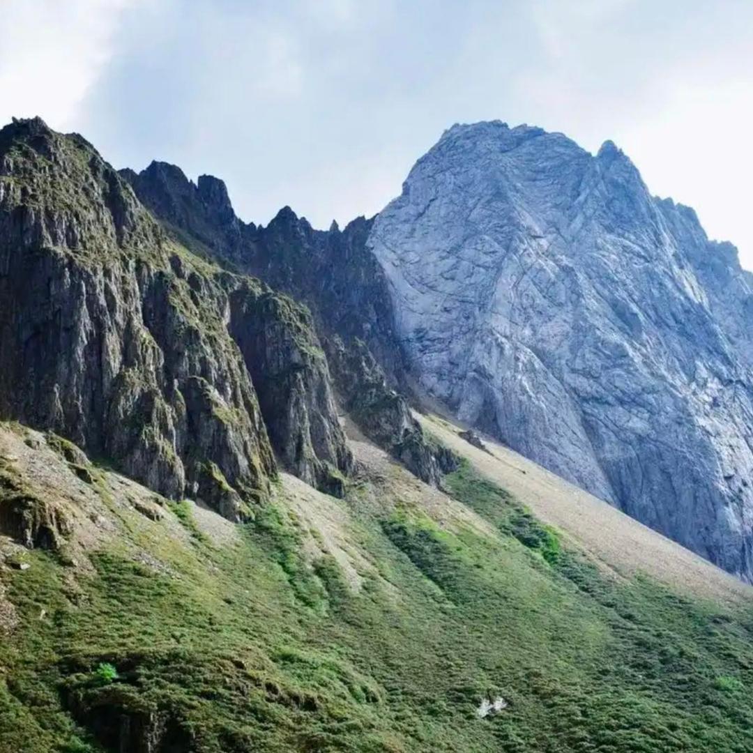 东莞市育彩药房有限公司宠粉号