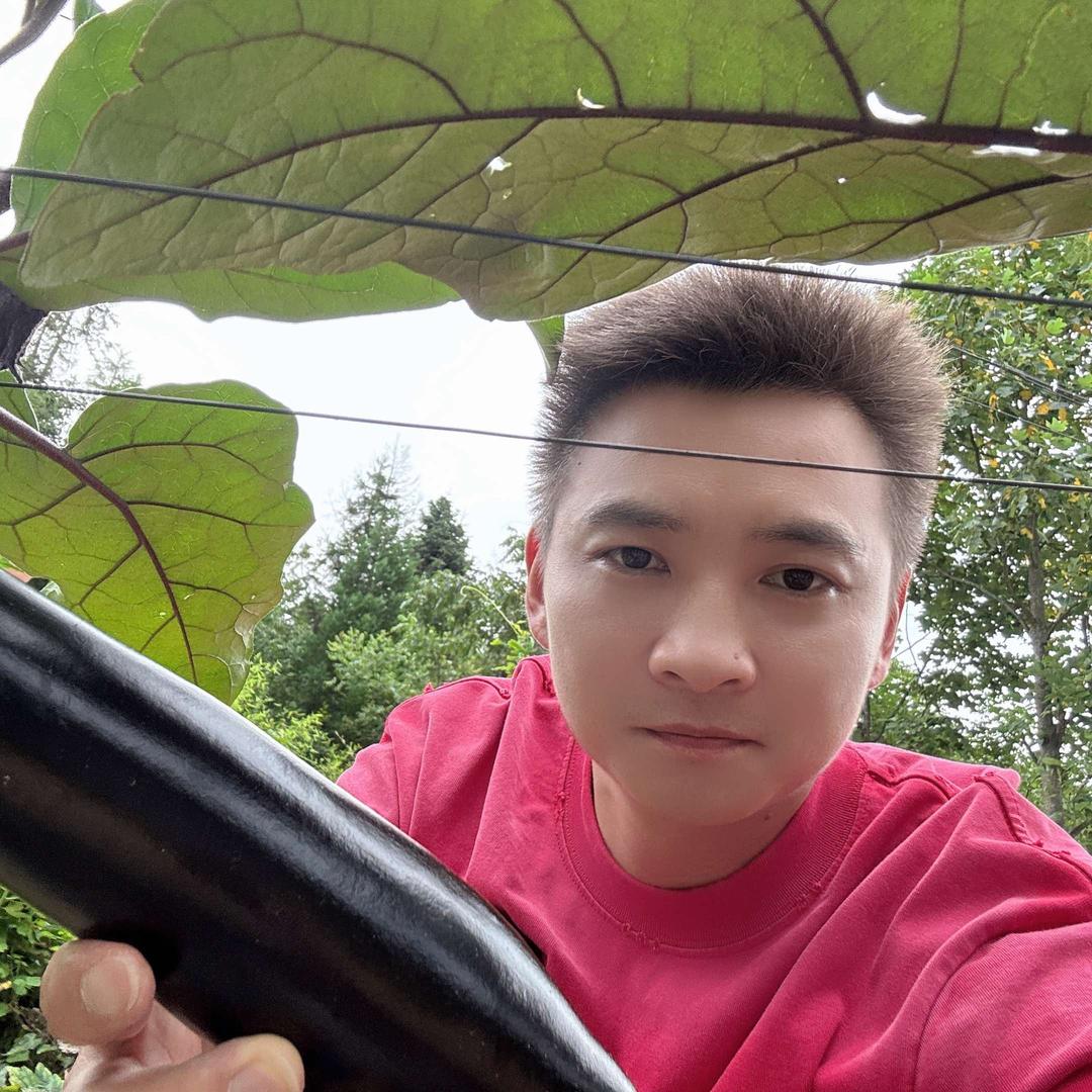 畅鲜果蔬电子商务