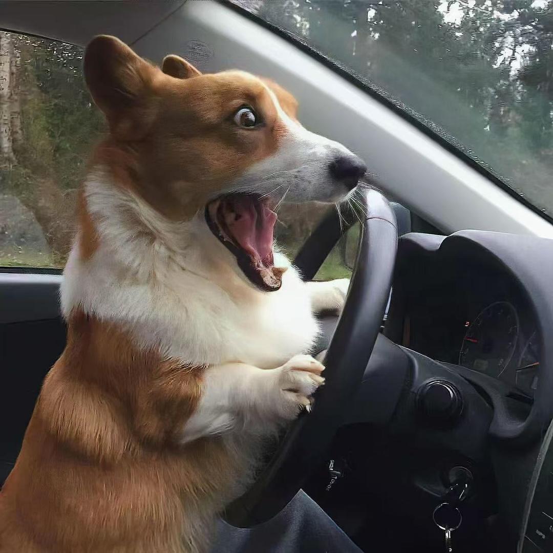 精品百货运营号