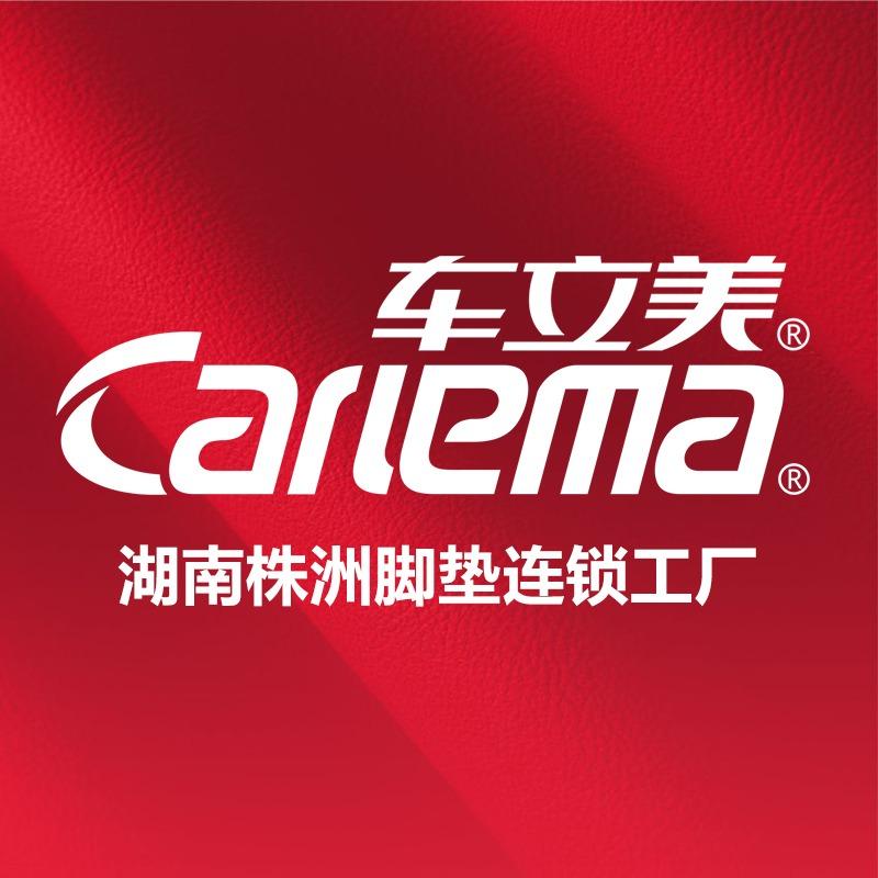 株洲市荷塘区壹牛汽车内饰店