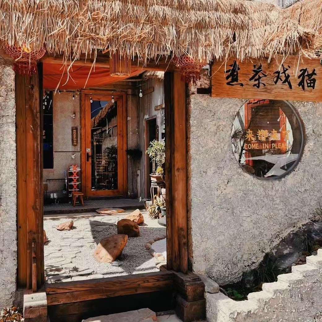 煮茶戏猫-撸猫庭院
