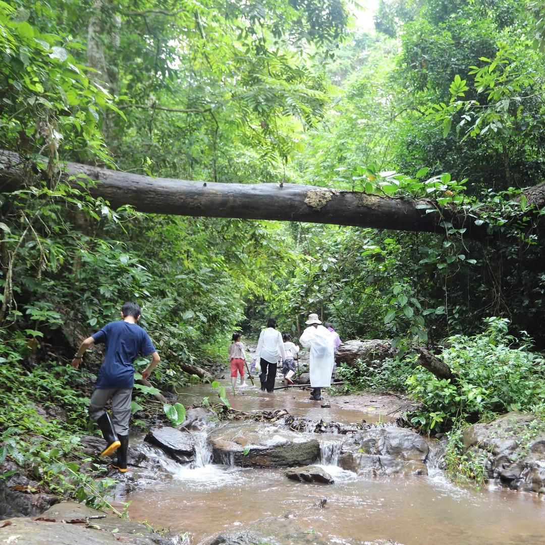 西双版纳基诺山巴朵幽谷雨林徒步