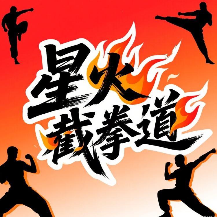 星火截拳道连锁