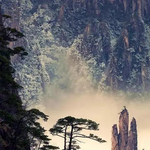 承诺科技直播号