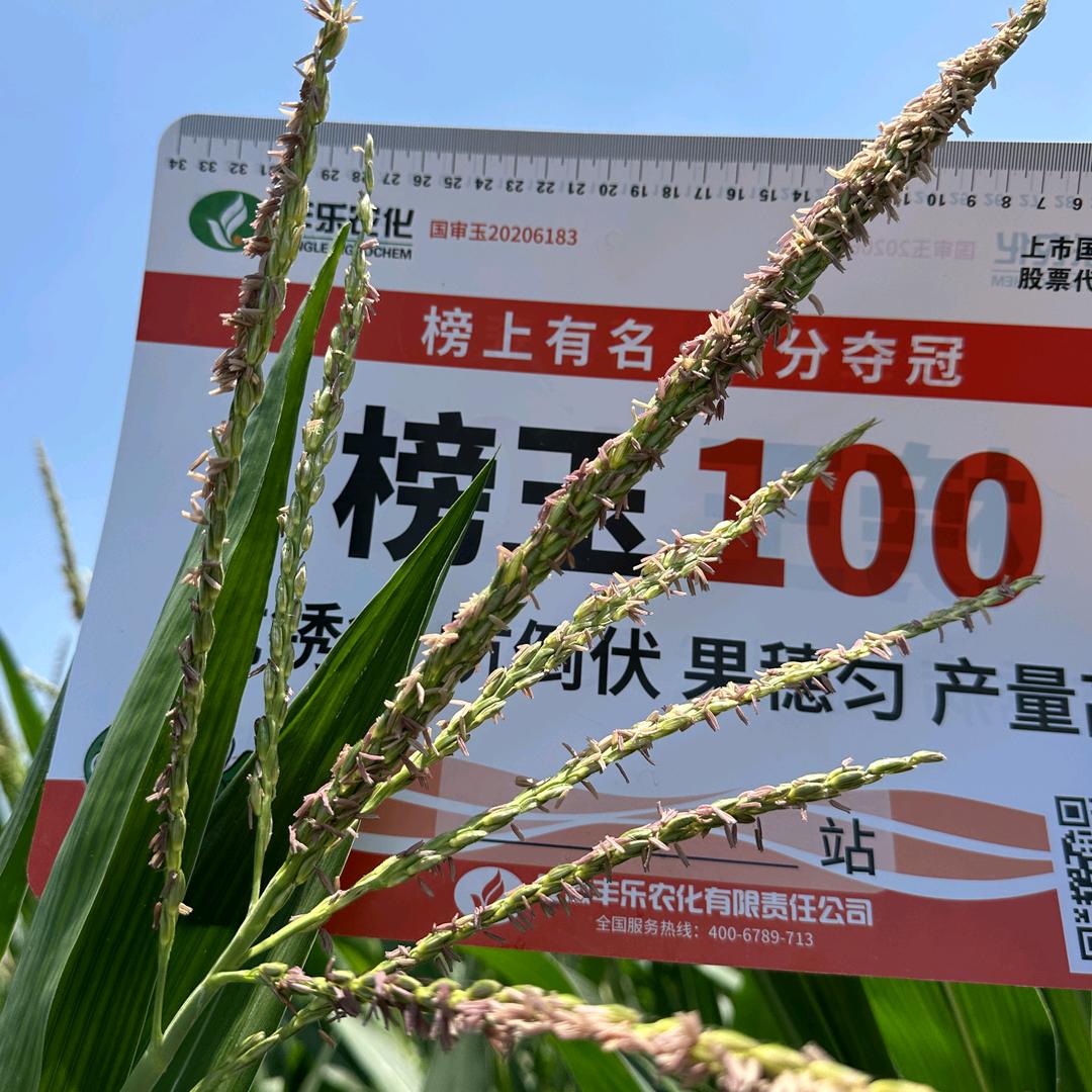 王震农业