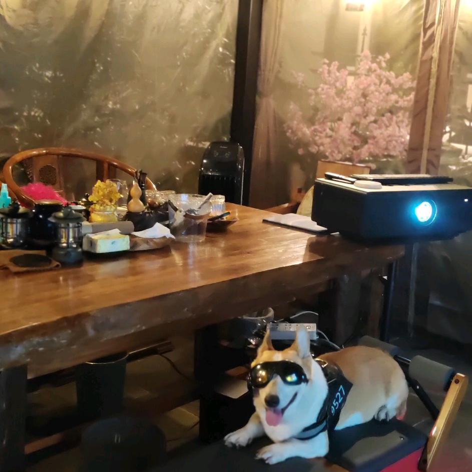 双亭会.炫影茶社酒肆官方号