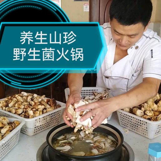 养生山珍野生菌火锅