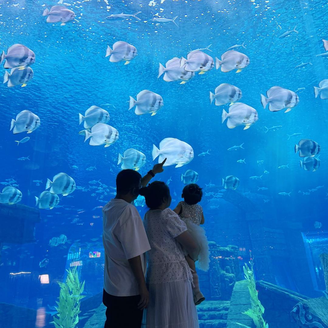 妤肤希(财富中心店)专用号