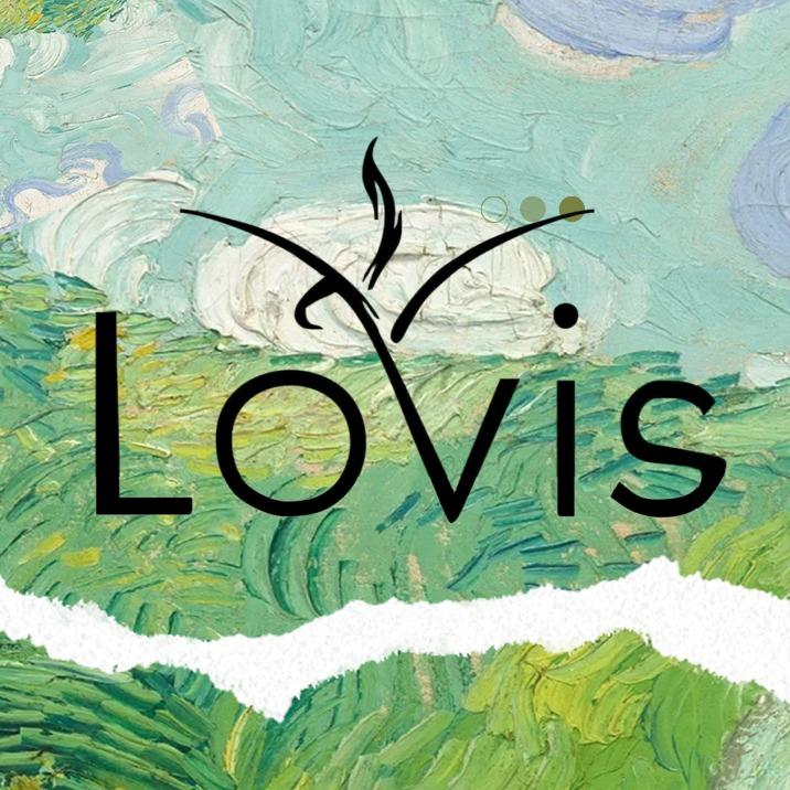 洛薇斯变美 -薇薇