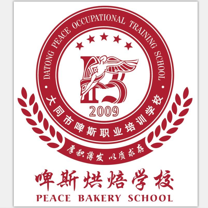 大同市啤斯职业培训学校