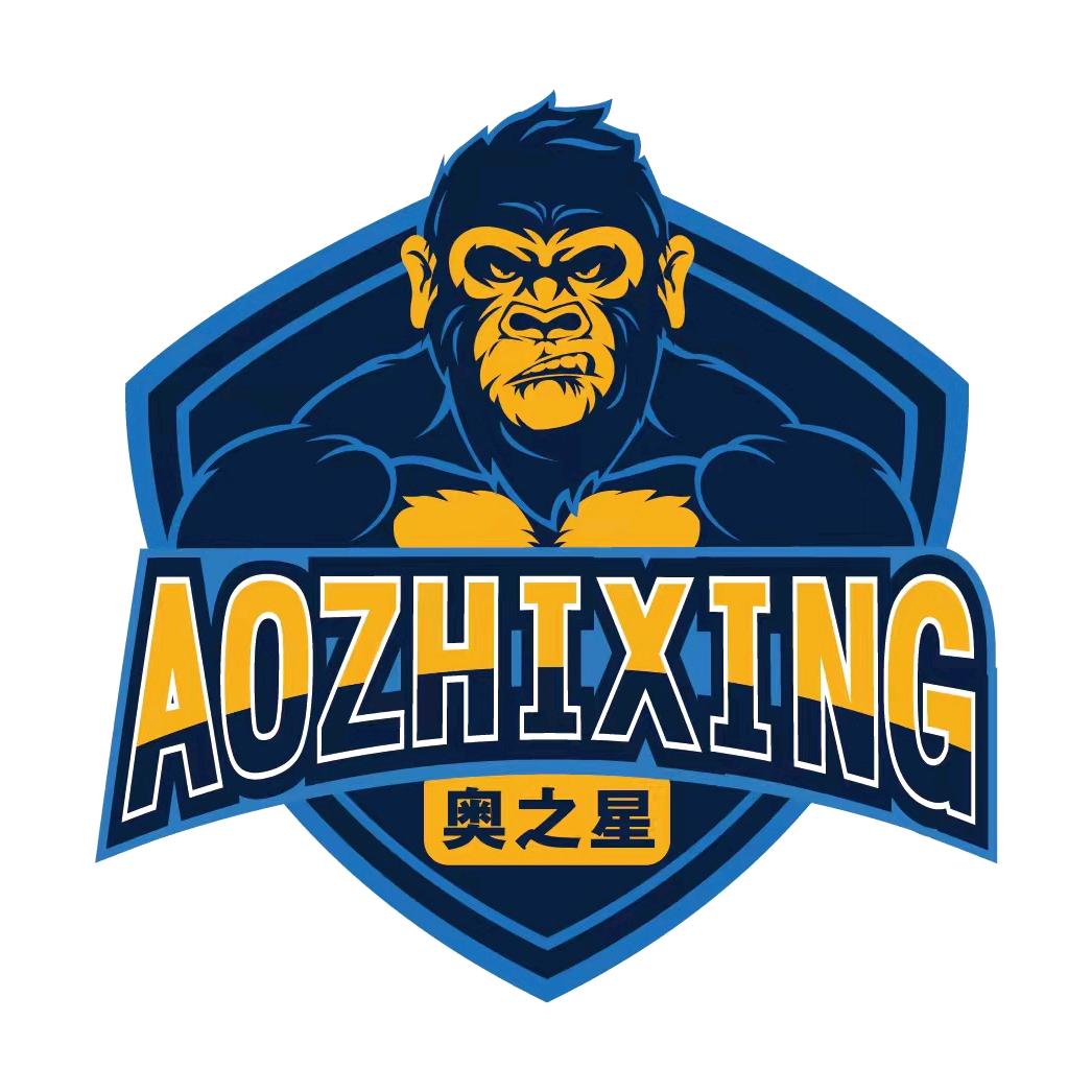 烟台奥之星篮球俱乐部