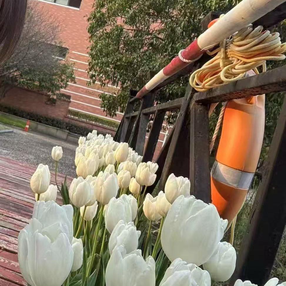 广州事月贸易有限公司广州事月贸易有限公司导员号