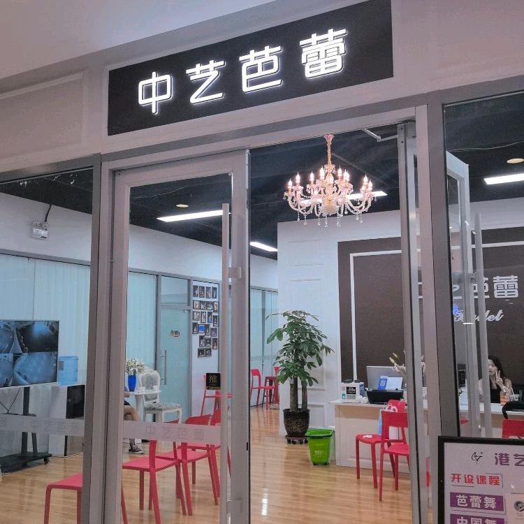 保定中艺芭蕾舞蹈学校宠粉号