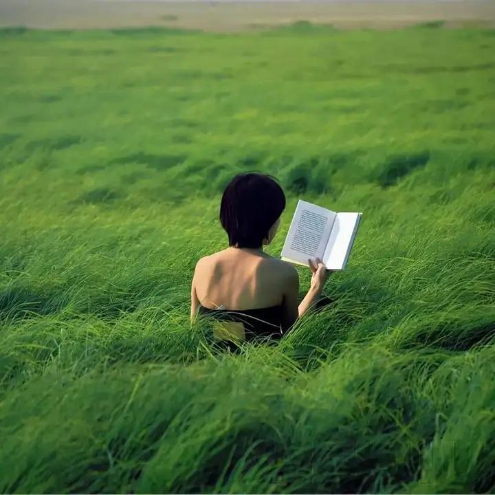 武汉赛莱吉贸易有限公司经纪号