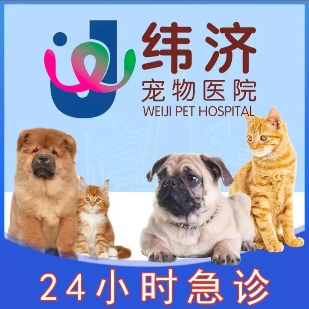 纬济宠物医院------直播号