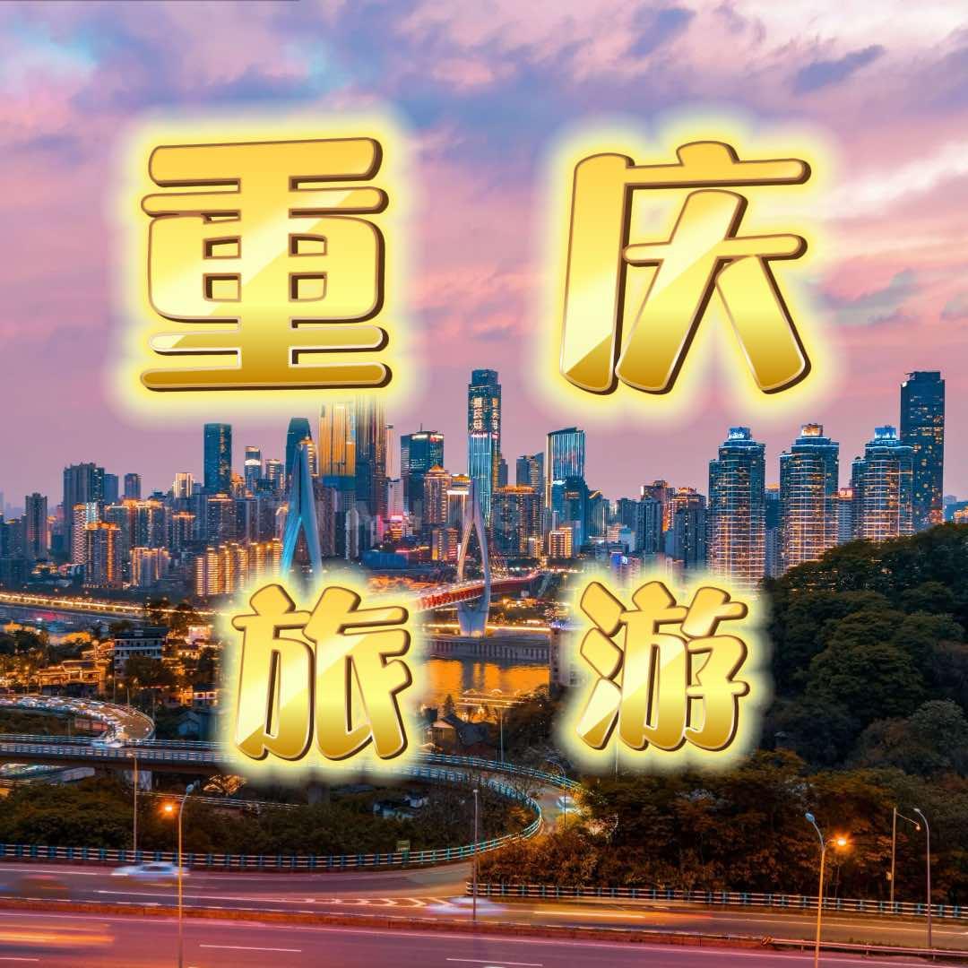 重庆旅游（指定服务商）