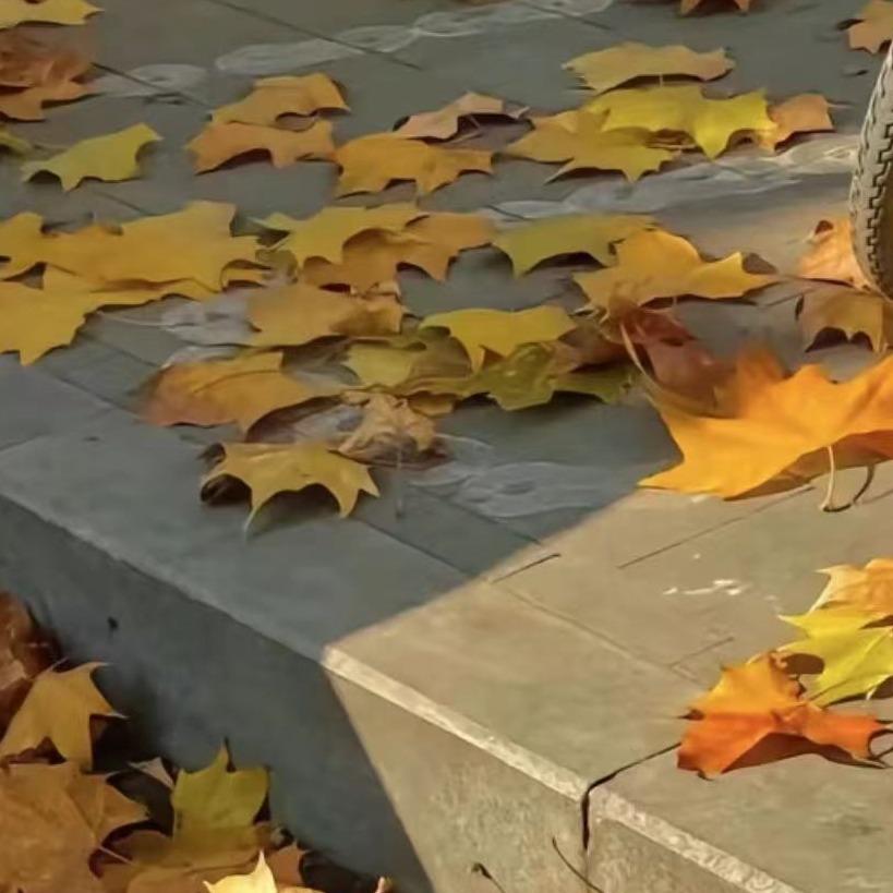 夏攒天空生活号