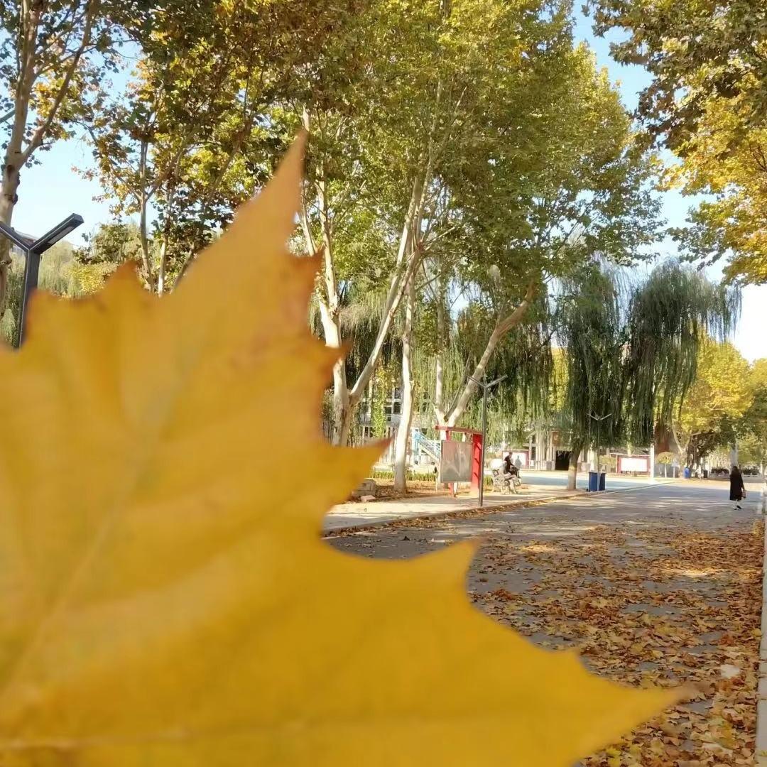 胶南海尔工业园公寓超市官方号