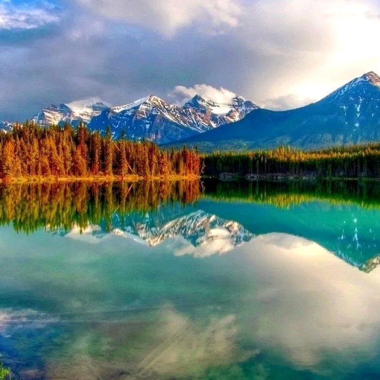 广州秋桥贸易有限公司助理号