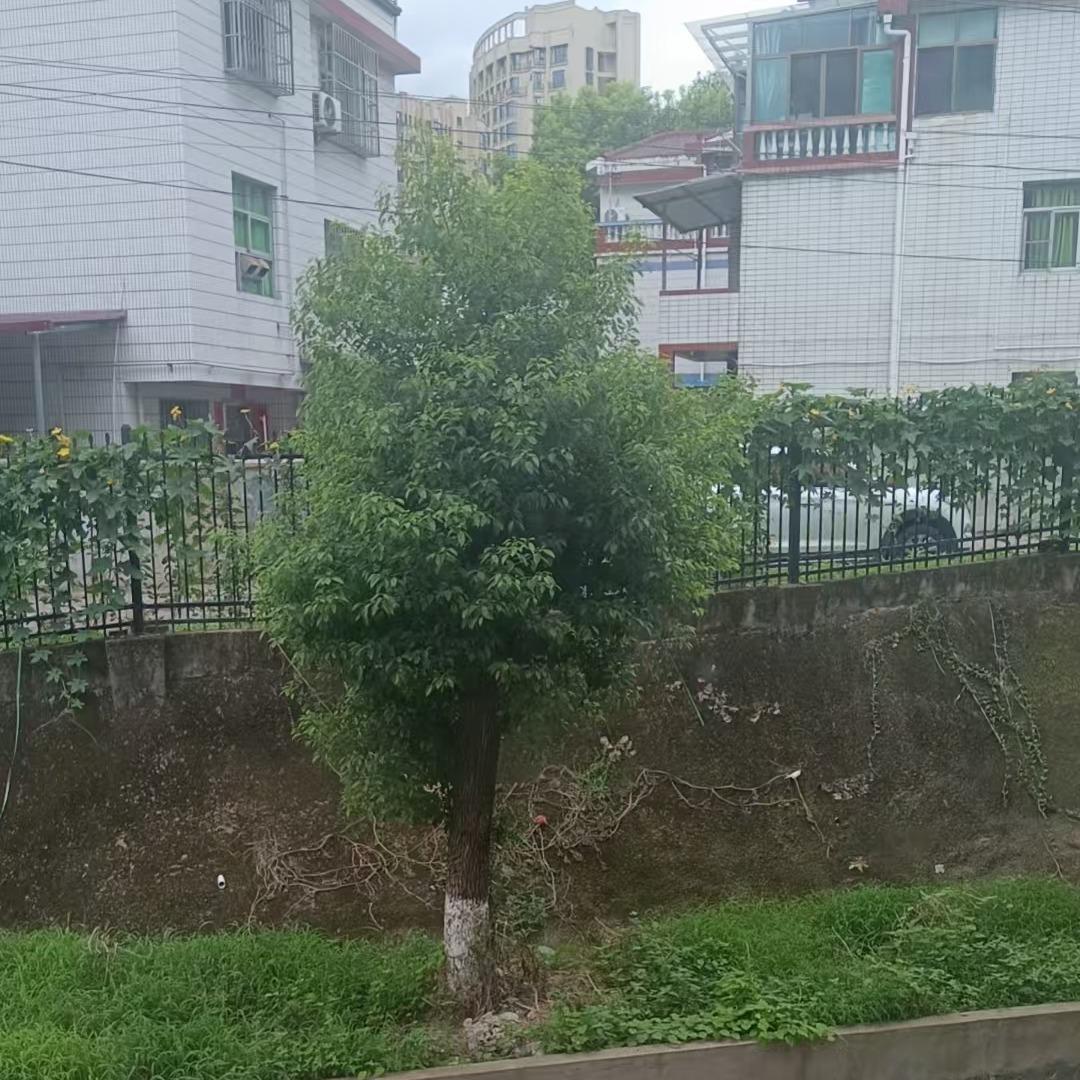 区蒂多多百货号