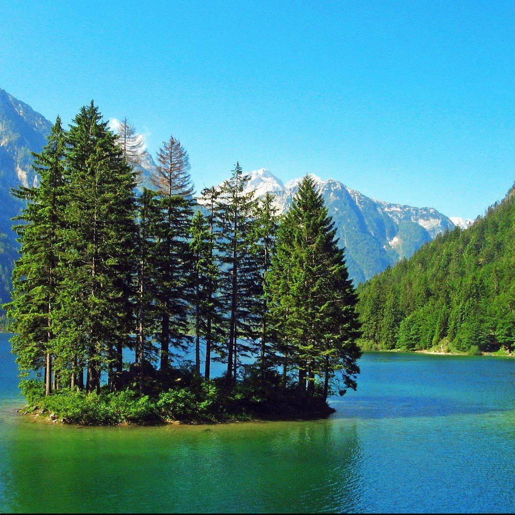 昆明狄鲁锋广告店直播号