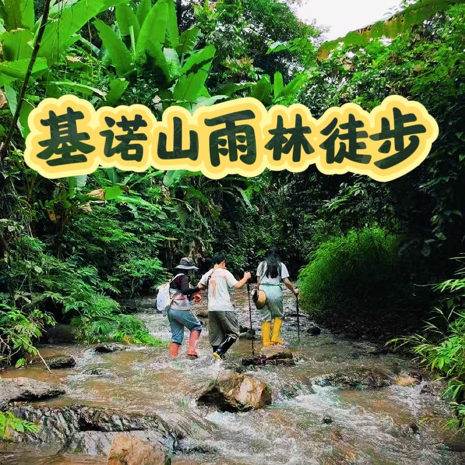基诺山原始雨林徒步 .
