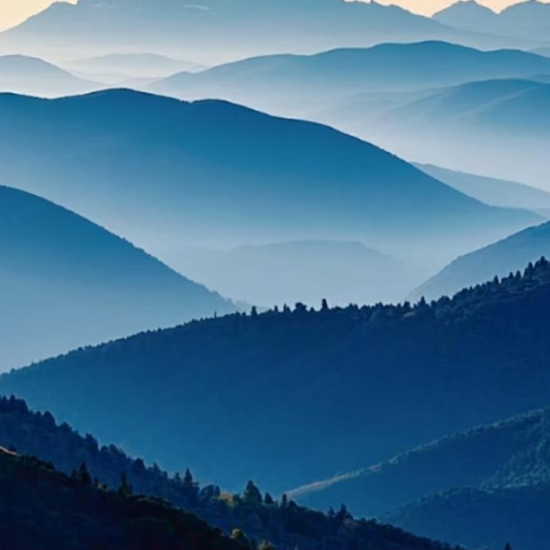 东营友尚机动车检测有限公司