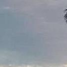 怡发门窗(梁平旗舰店)怡发门窗东北角直播号