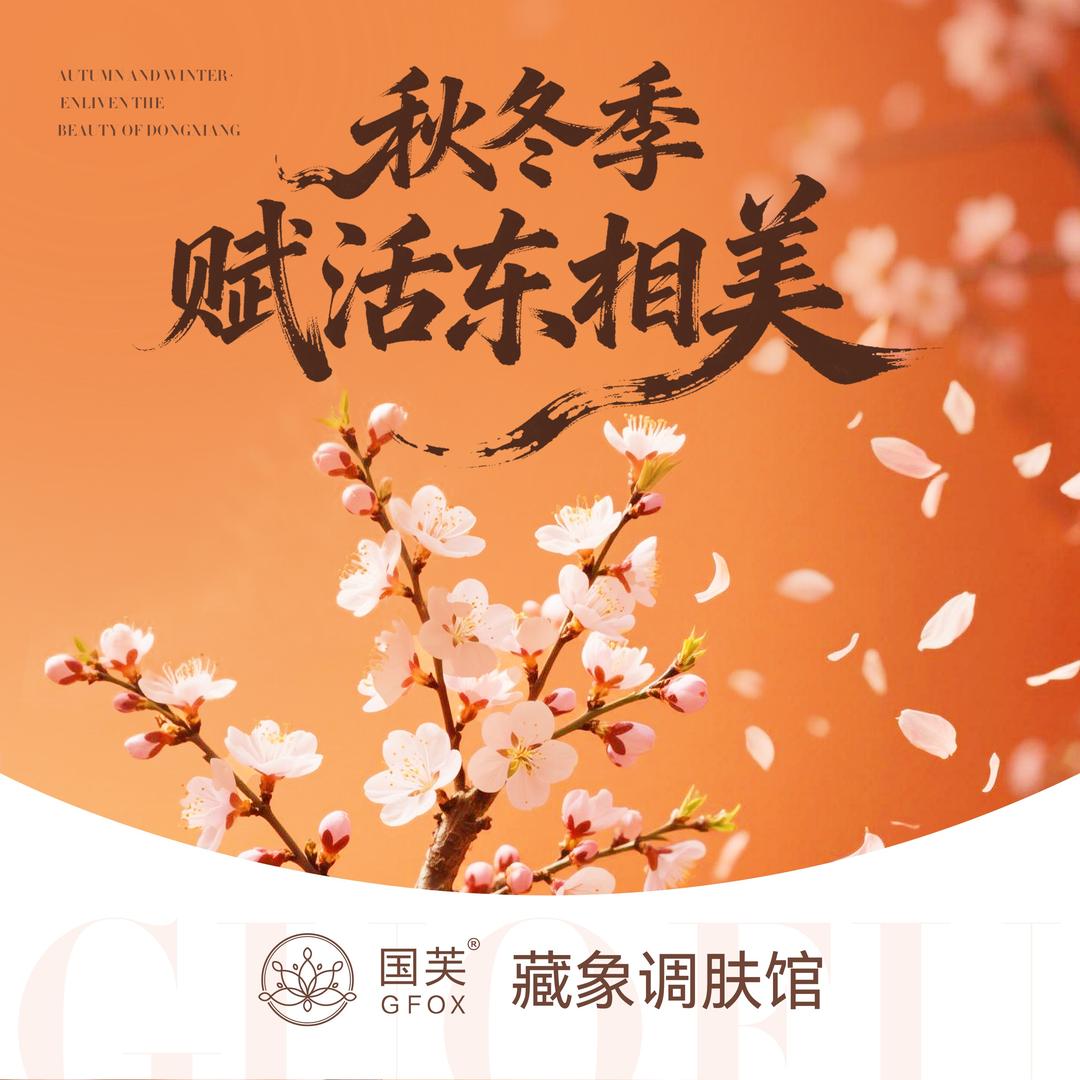 国芙·藏象调肤馆(湘E0739店)专用号