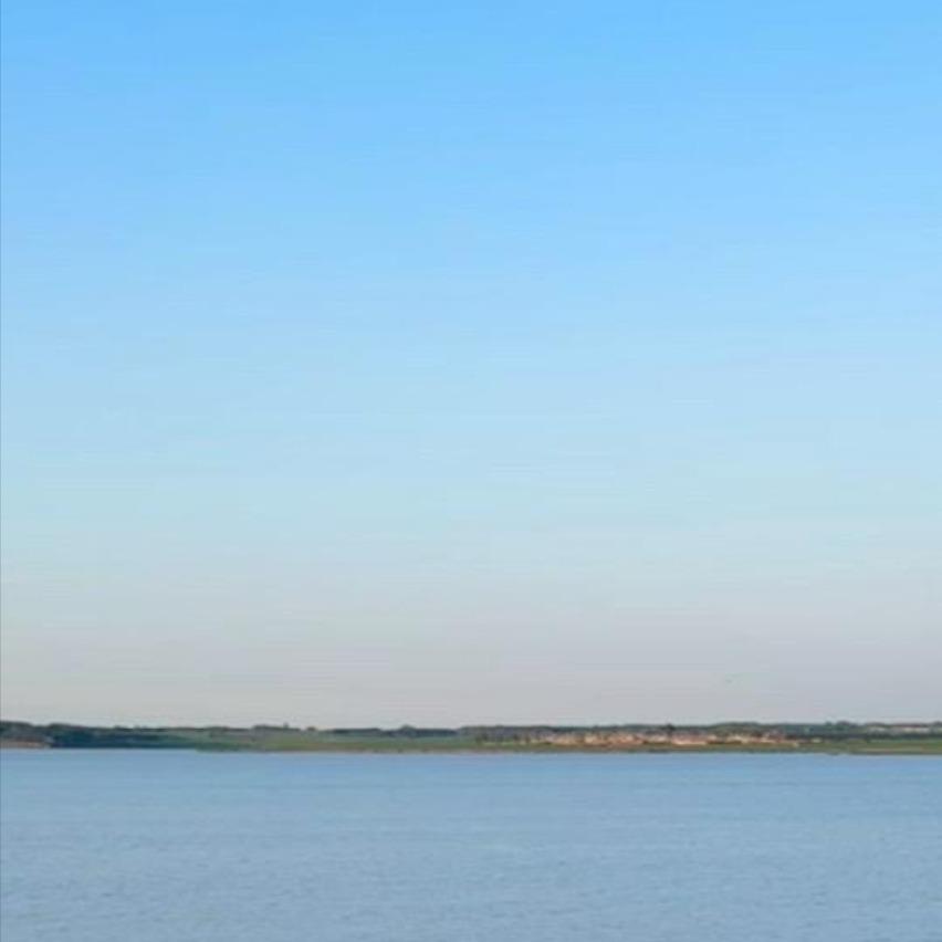 金伟诺贸易经营号