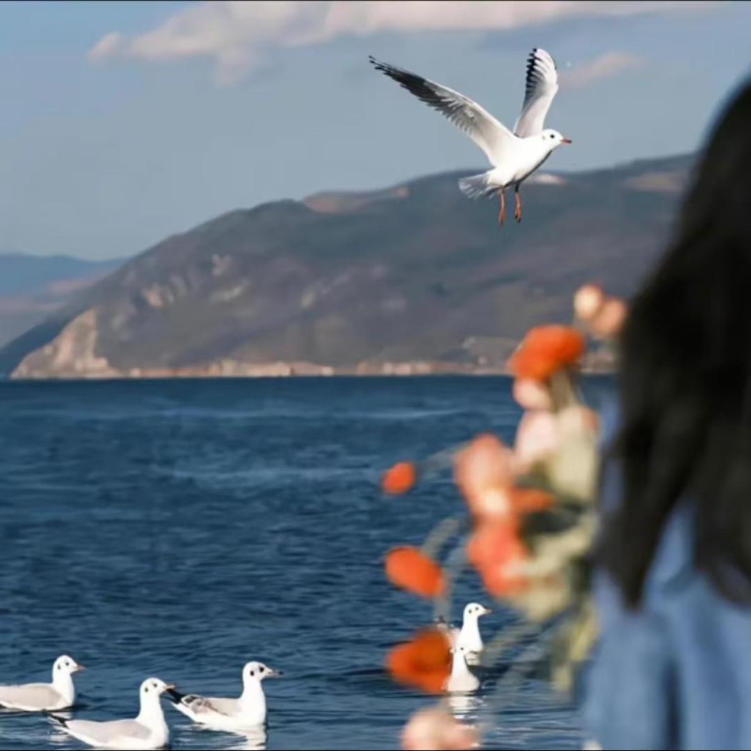 嘉途郡欣商贸生活号