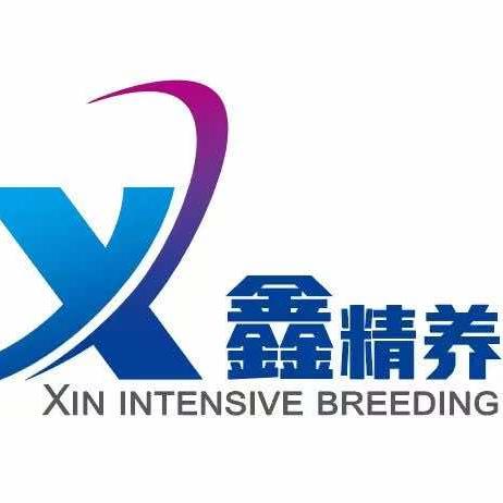 鑫精养汽服
